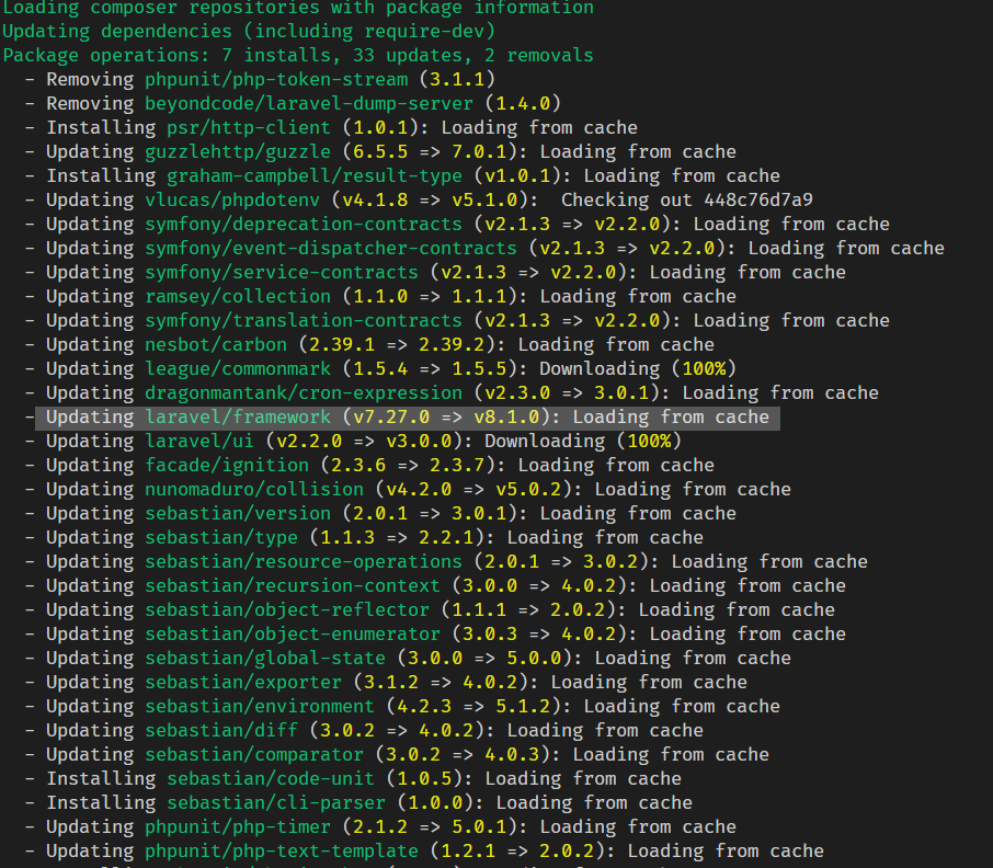 Composer Update Laravel 8